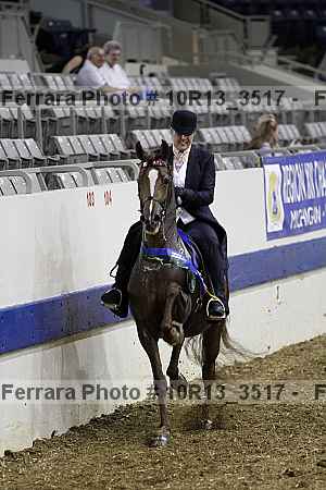 Proof Number 10r13_3517