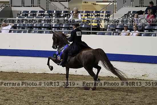 Proof Number 10r13_3519
