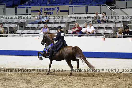 Proof Number 10r13_3523
