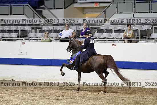 Proof Number 10r13_3525