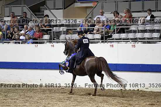Proof Number 10r13_3526