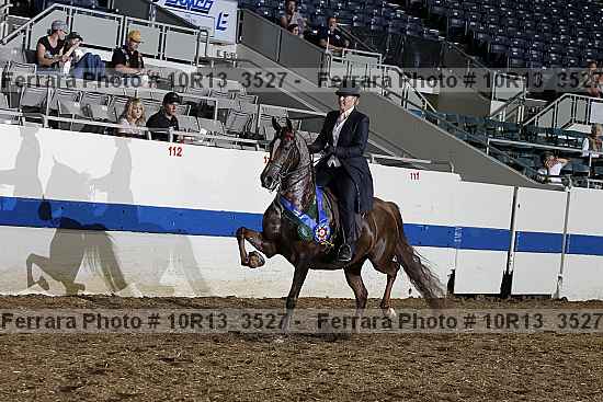 Proof Number 10r13_3527