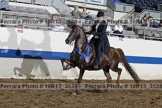 Proof Number 10r13_3528