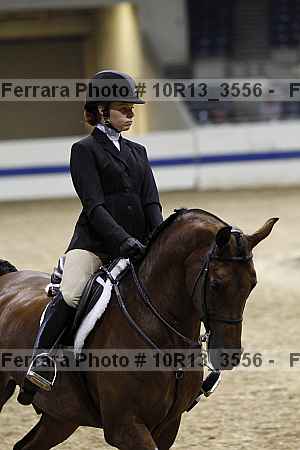 Proof Number 10r13_3556
