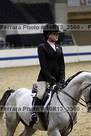 Proof Number 10r13_3560