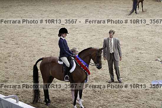 Proof Number 10r13_3567