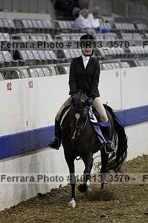 Proof Number 10r13_3570