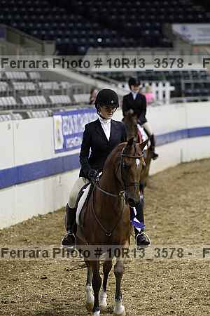 Proof Number 10r13_3578