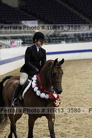 Proof Number 10r13_3580