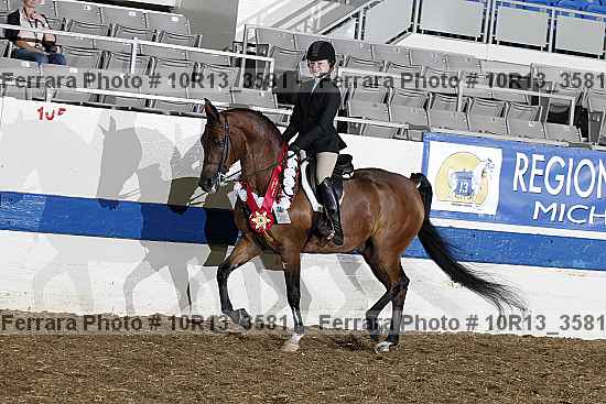 Proof Number 10r13_3581