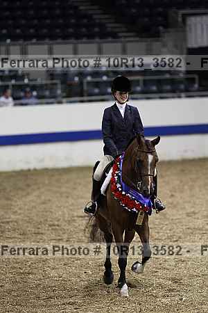 Proof Number 10r13_3582