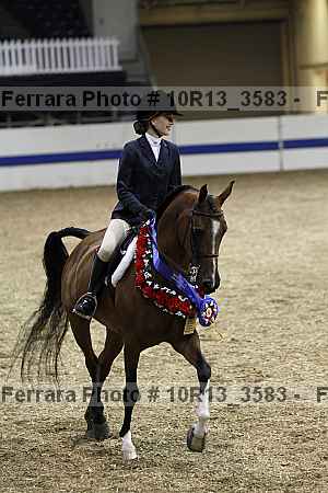 Proof Number 10r13_3583