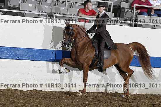 Proof Number 10r13_3611