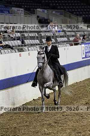 Proof Number 10r13_3620