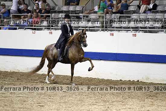 Proof Number 10r13_3626