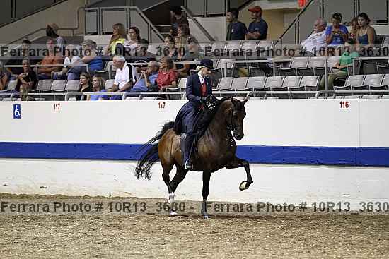 Proof Number 10r13_3630
