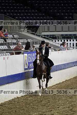 Proof Number 10r13_3636