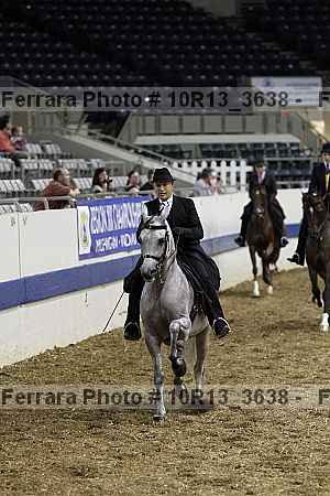 Proof Number 10r13_3638