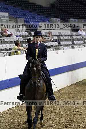 Proof Number 10r13_3640