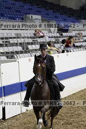 Proof Number 10r13_3642