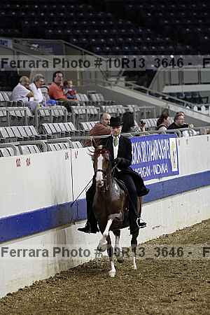 Proof Number 10r13_3646