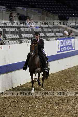Proof Number 10r13_3667