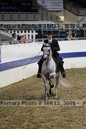 Proof Number 10r13_3669