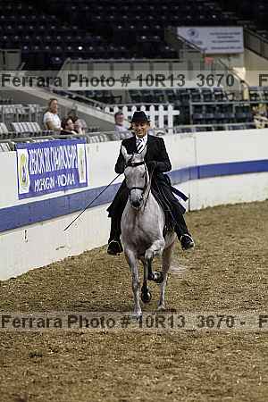 Proof Number 10r13_3670