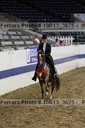 Proof Number 10r13_3675