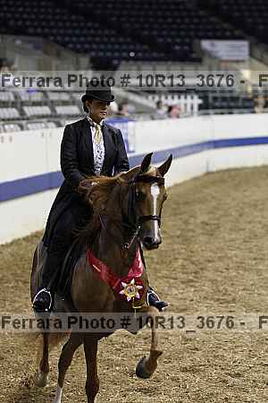 Proof Number 10r13_3676