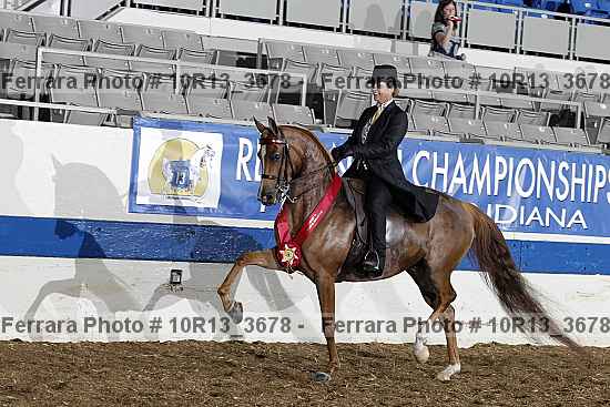 Proof Number 10r13_3678