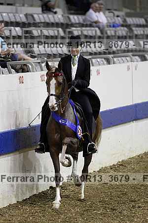 Proof Number 10r13_3679
