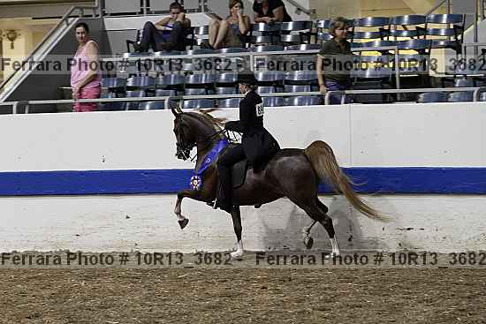 Proof Number 10r13_3682