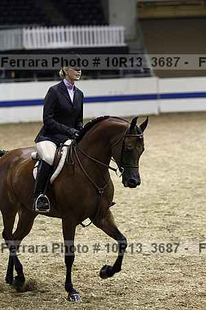 Proof Number 10r13_3687
