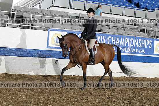 Proof Number 10r13_3689