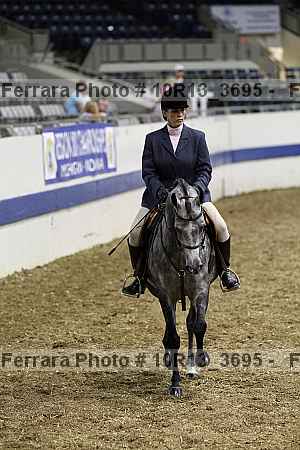 Proof Number 10r13_3695