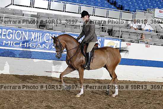 Proof Number 10r13_3697