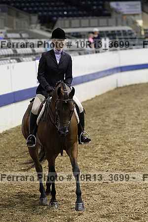 Proof Number 10r13_3699
