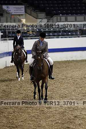 Proof Number 10r13_3701