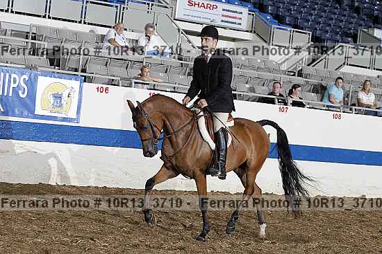 Proof Number 10r13_3710