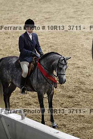 Proof Number 10r13_3711