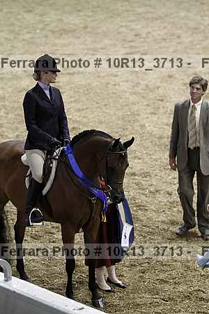 Proof Number 10r13_3713