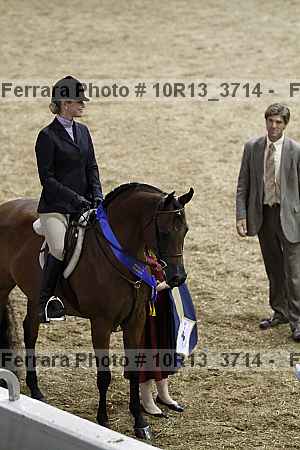 Proof Number 10r13_3714