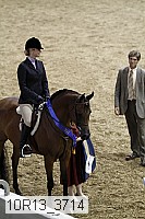 10r13_3714 thumbnail