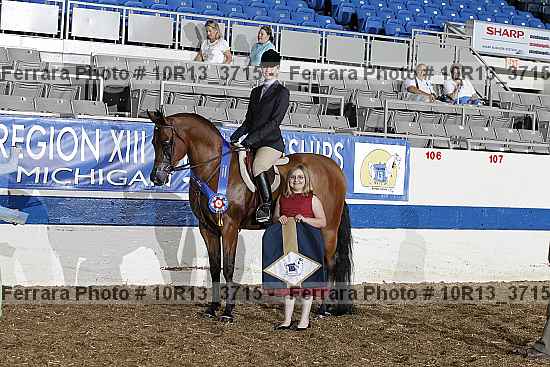 Proof Number 10r13_3715