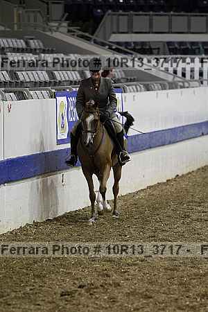 Proof Number 10r13_3717