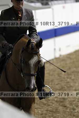 Proof Number 10r13_3719
