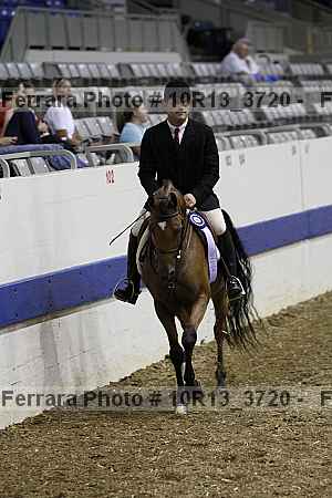 Proof Number 10r13_3720