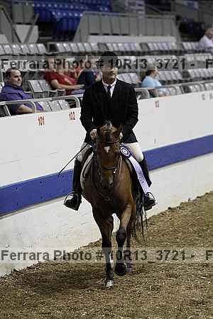 Proof Number 10r13_3721