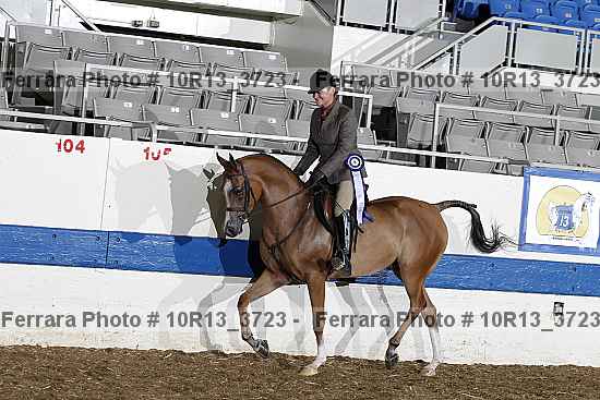 Proof Number 10r13_3723